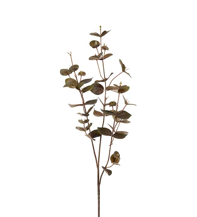 1438-90 - Eucalyptus 70 cm