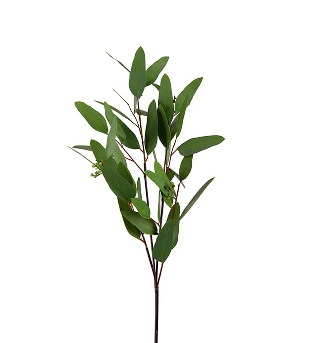 3398-90 - Eucalyptus 80 cm
