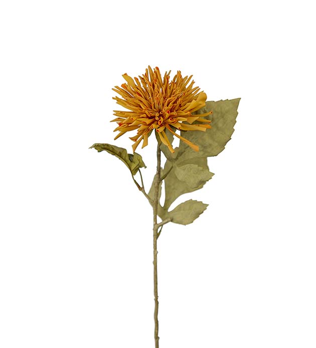 3618-35 - Chrysanthemum