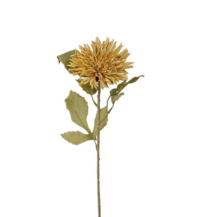 3618-71 - Chrysanthemum