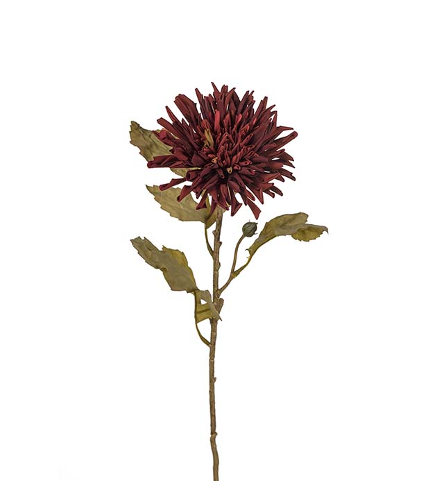 3618-85 - Chrysanthemum