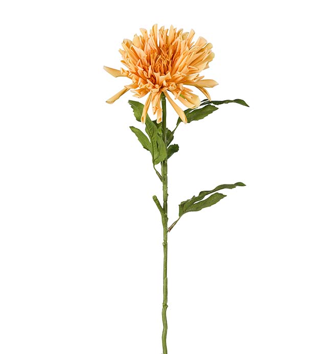 3927-35 - Chrysanthemum