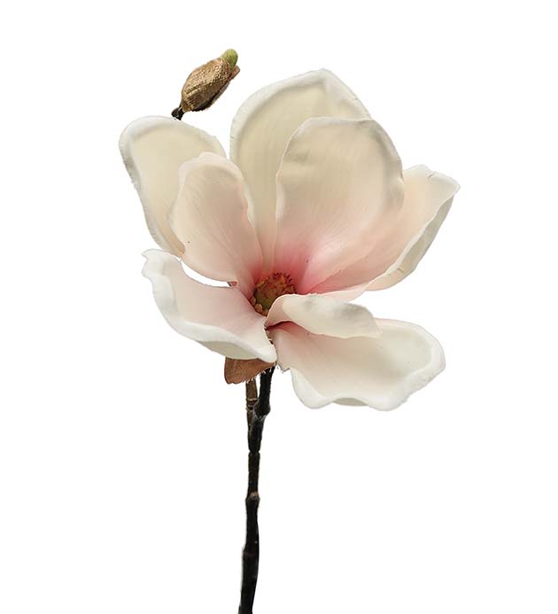 6172-20 - Magnolia 30 cm