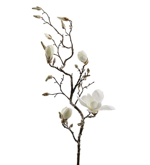 6175-10 - Magnolia 135 cm
