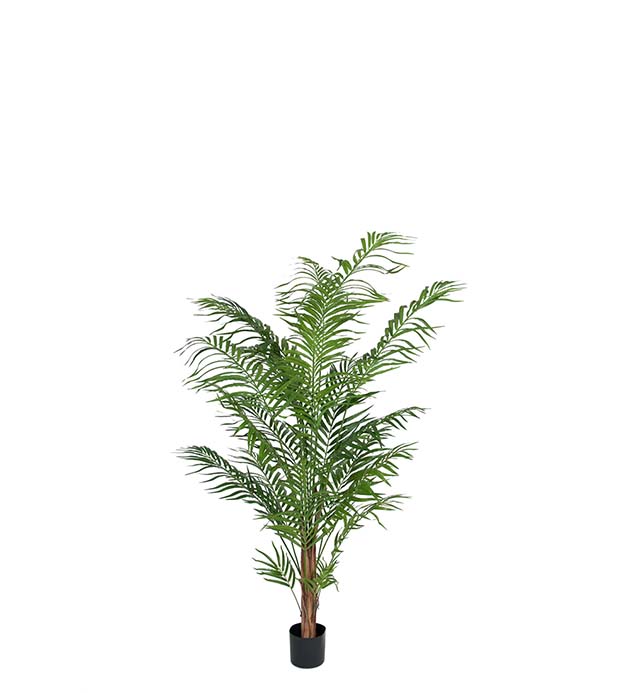 7149-180 - Areca Palm 180 cm