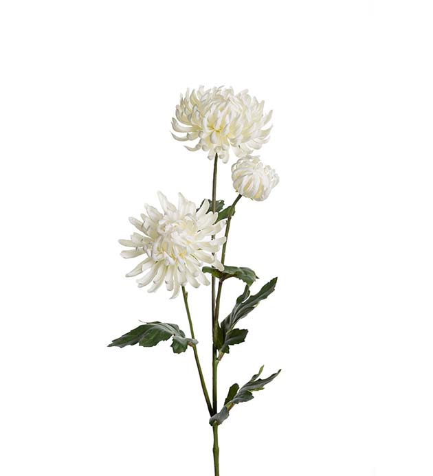 9430-10 - Chrysanthemum 60 cm