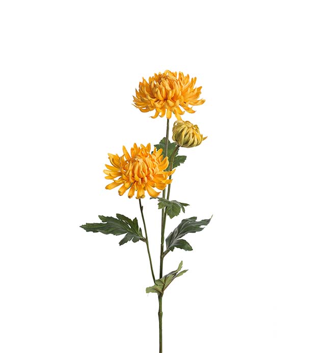 9430-50 - Chrysanthemum 60 cm