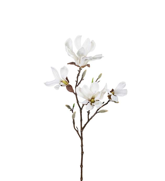 9665-10 - Magnolia 50 cm