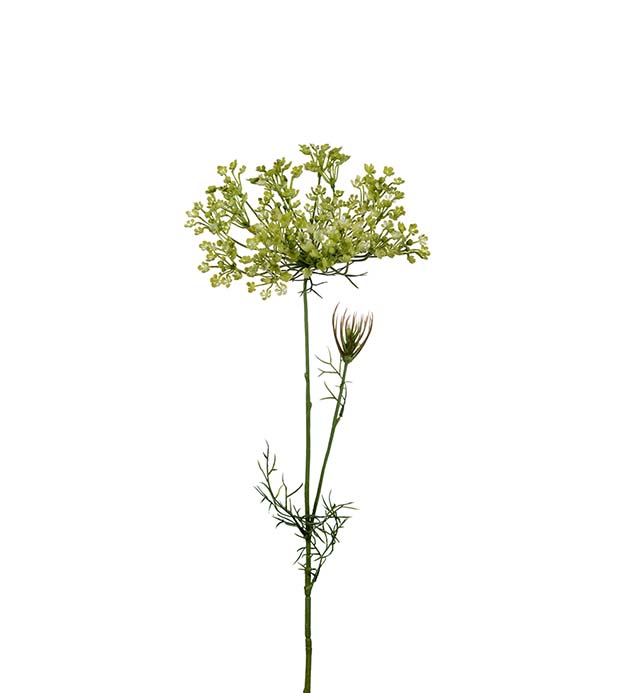 9671-90 - Allium 70 cm