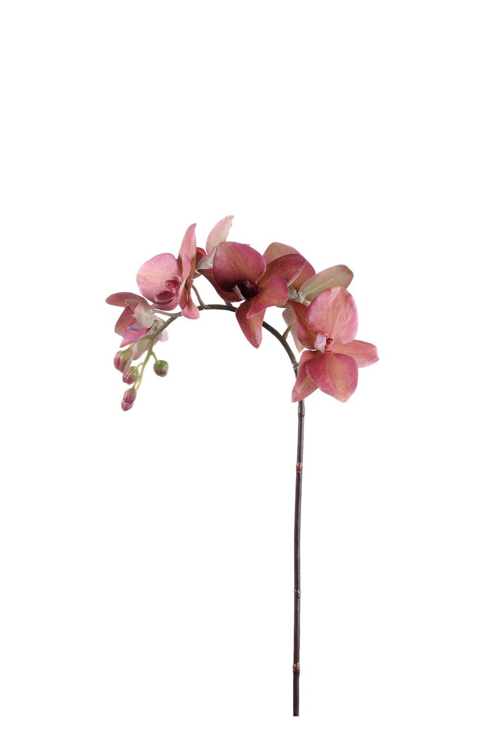 Konstgjord röd Phalaenopsis 60cm