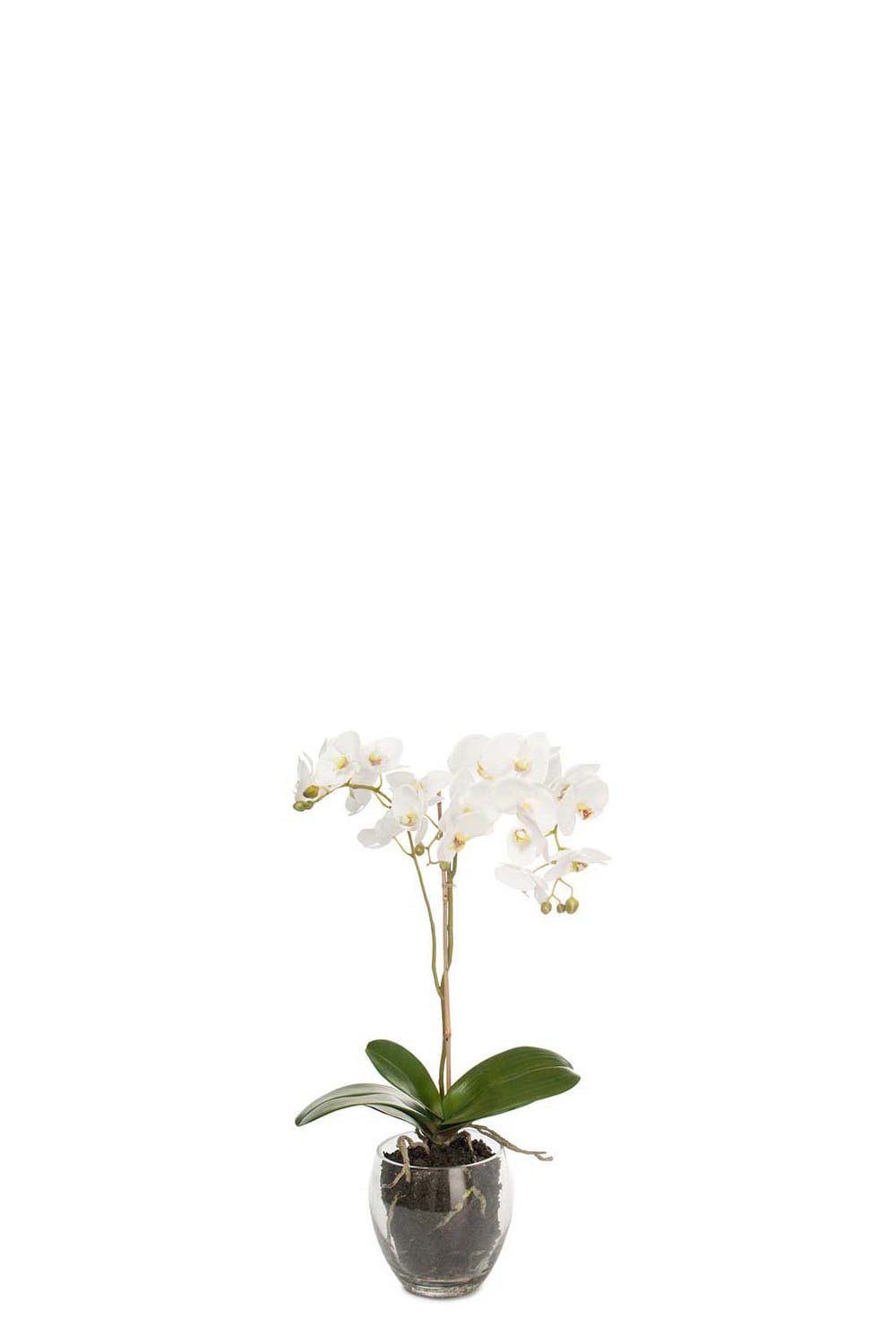 Konstgjord vit Phalaenopsis 65cm