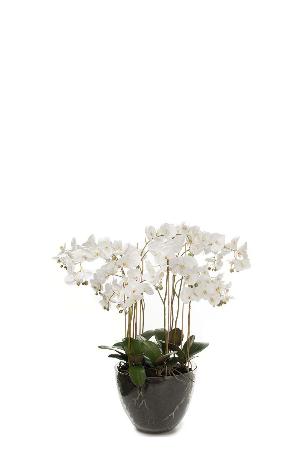 Konstgjord vit Phalaenopsis 90cm