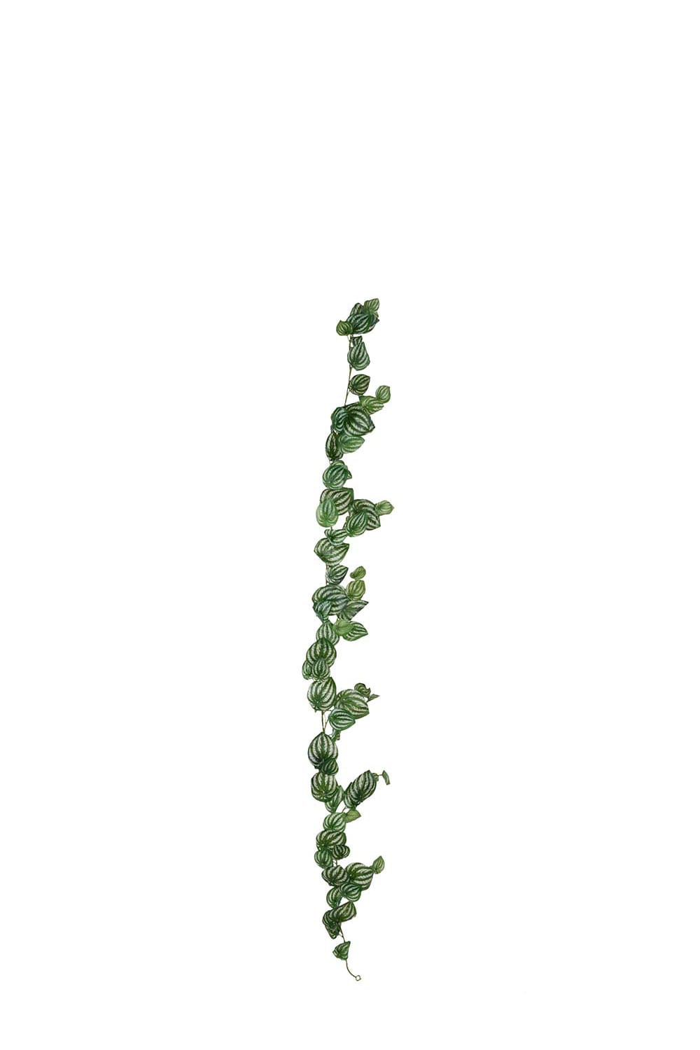 Konstgjord grön Peperomia girlang 180cm