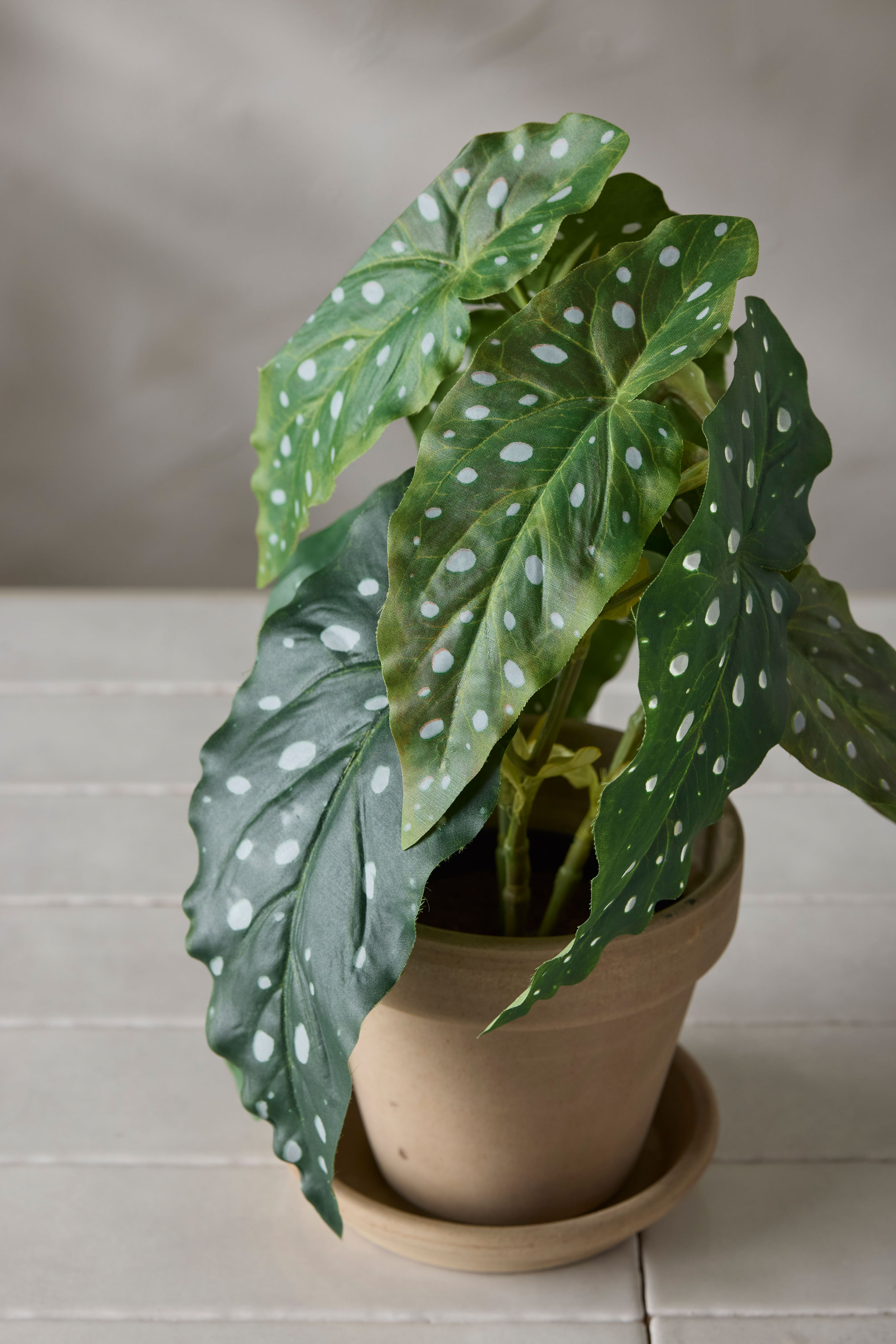 Konstgjord grön Forell Begonia 30cm