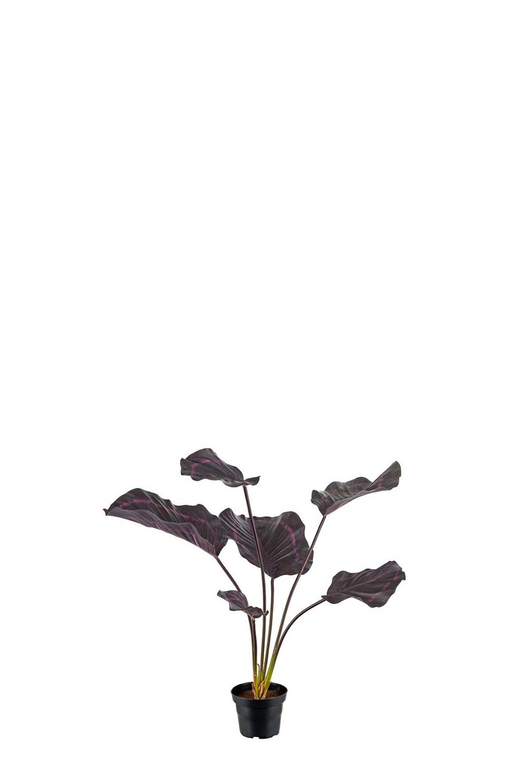 Konstgjord burgundy Calathea 55cm