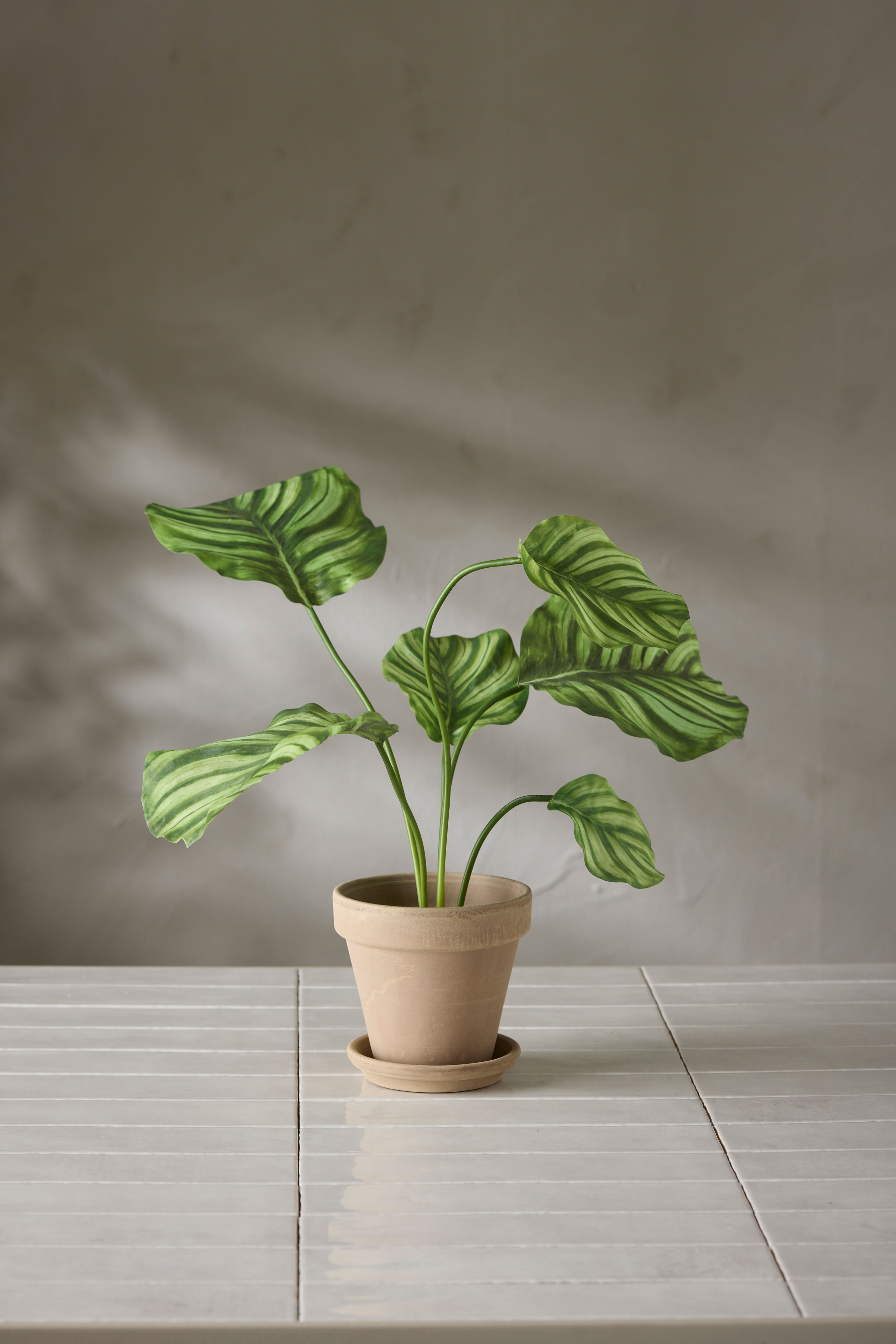 Konstgjord grön Calathea 55cm