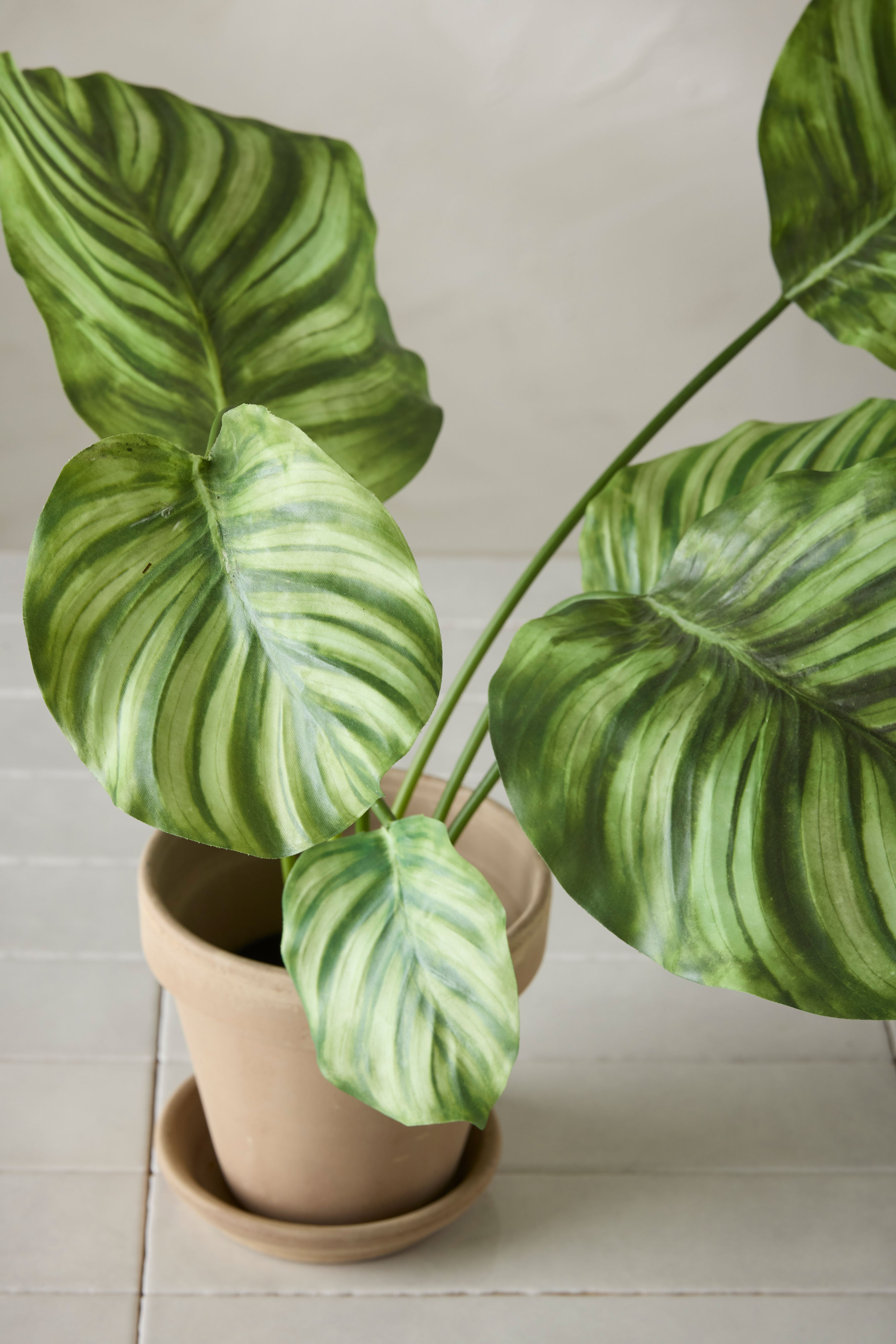 Konstgjord grön Calathea 55cm