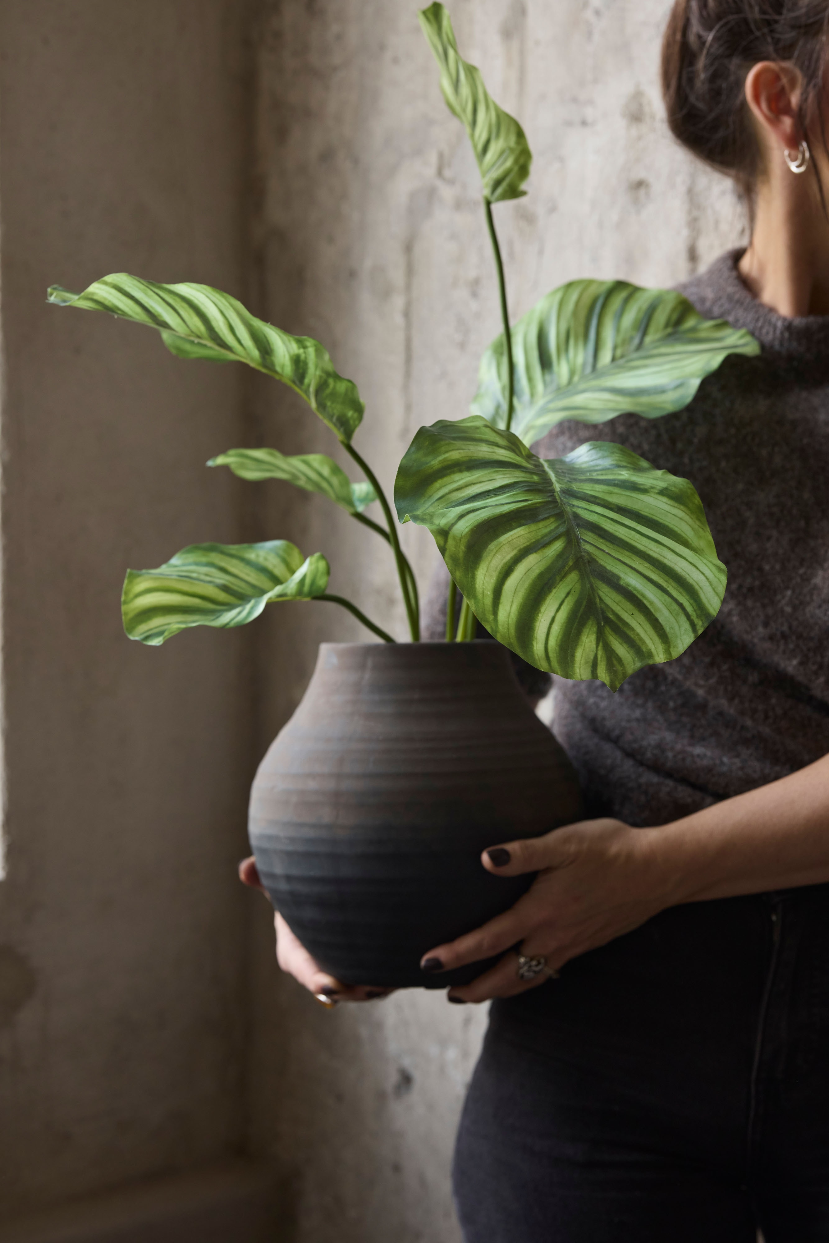 Konstgjord grön Calathea 55cm