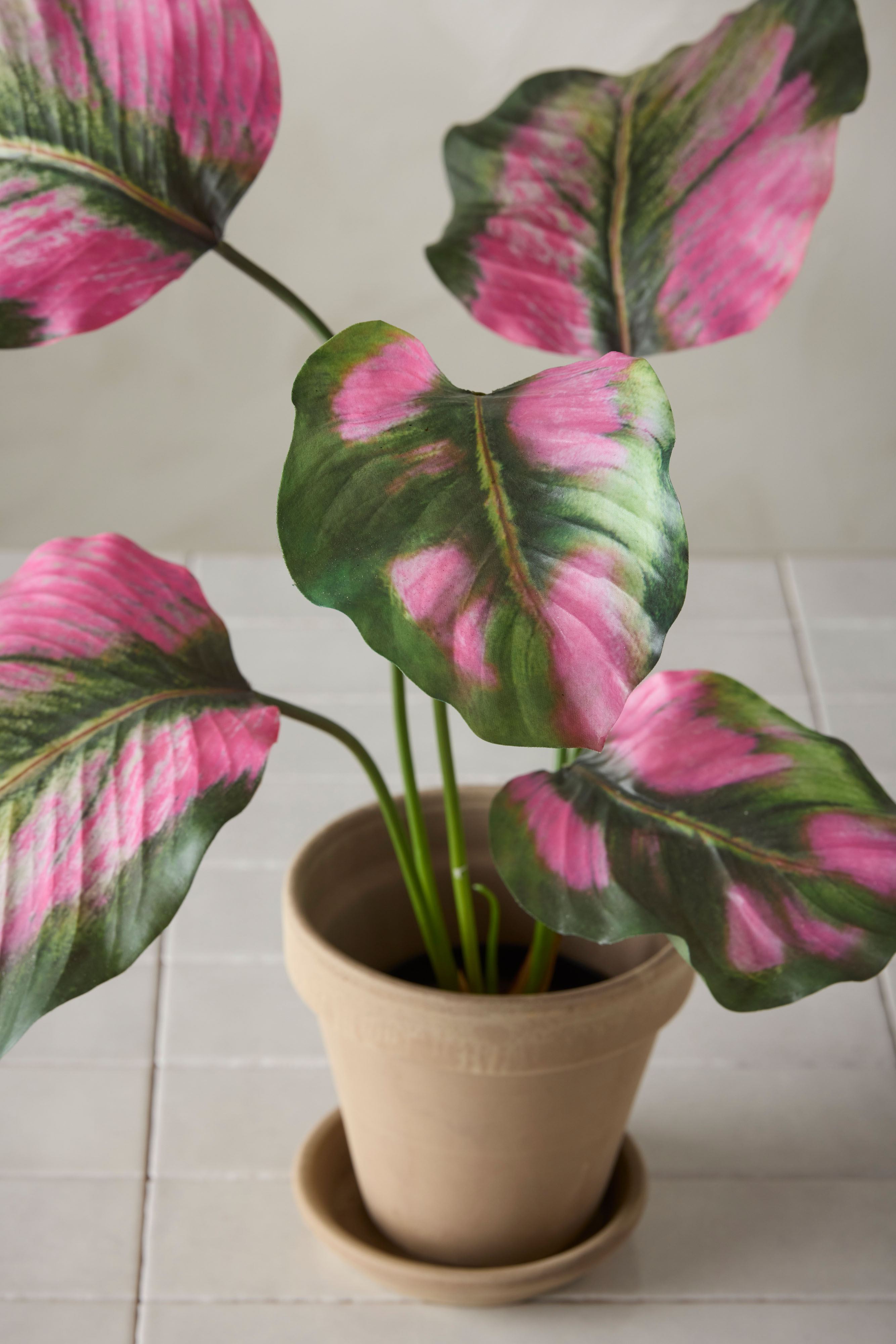 Konstgjord grön Calathea 55cm