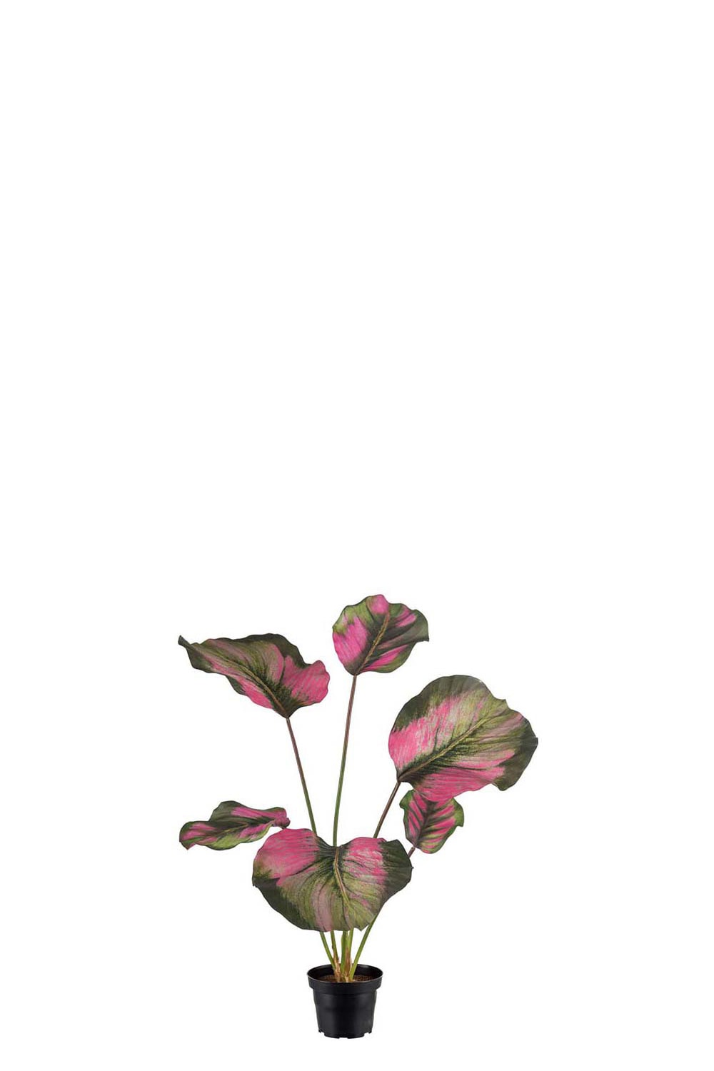 Konstgjord grön Calathea 55cm