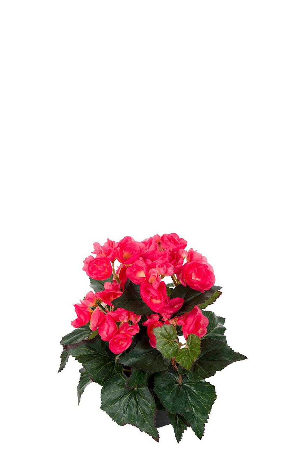 Konstgjord rosa Begonia 28cm