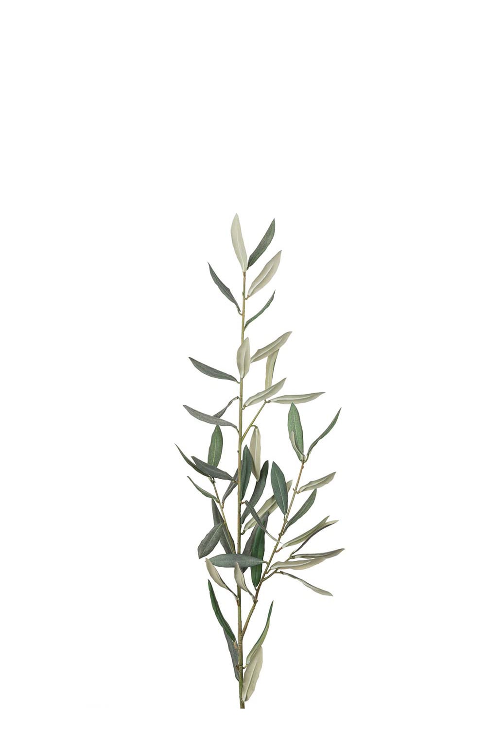 Konstgjord grön Olivkvist 50cm