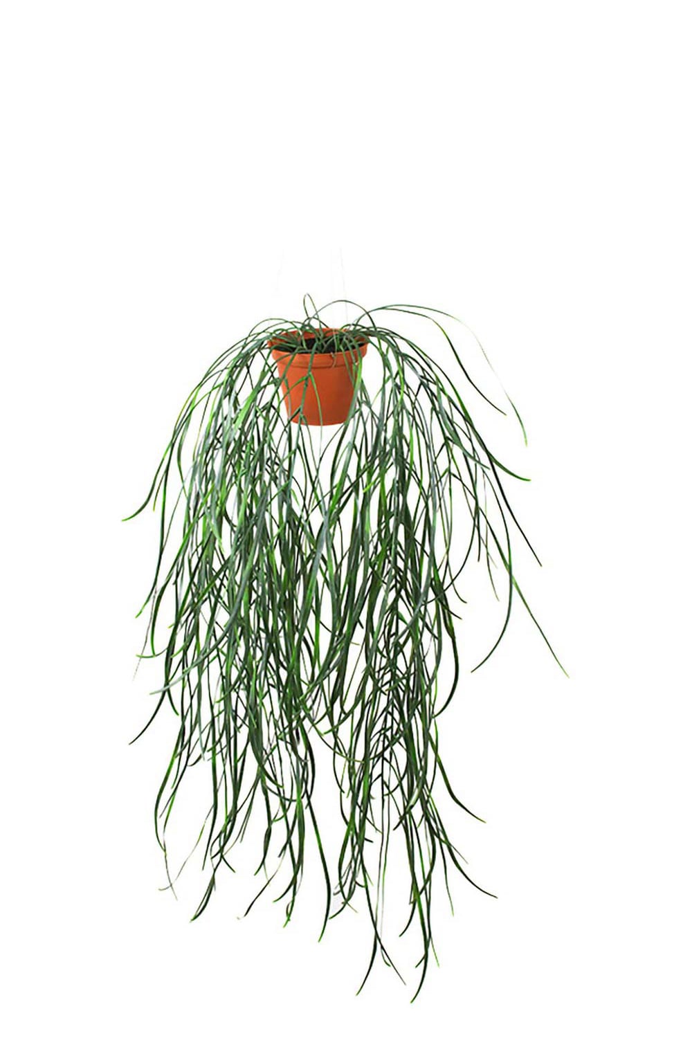 Konstgjord grön Hoya 70cm