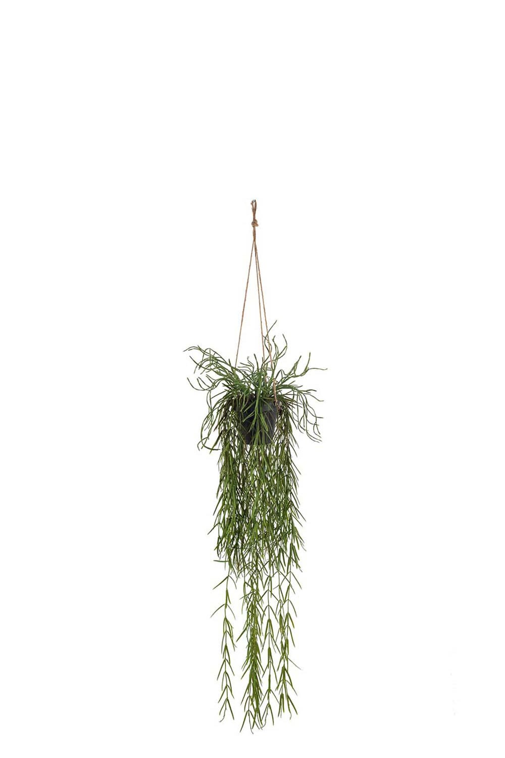 Konstgjord grön Rhipsalis 95cm