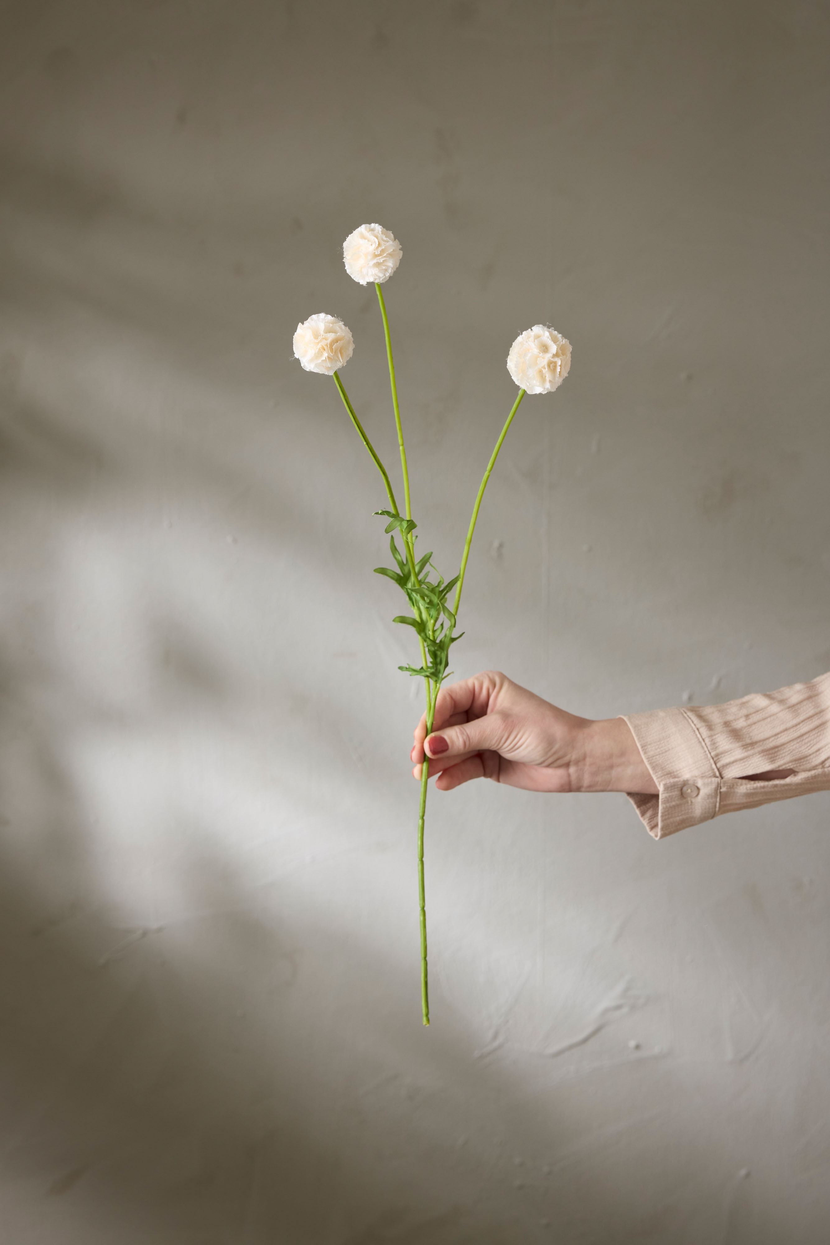 Konstgjord champagnefärgad Scabiosa 60cm