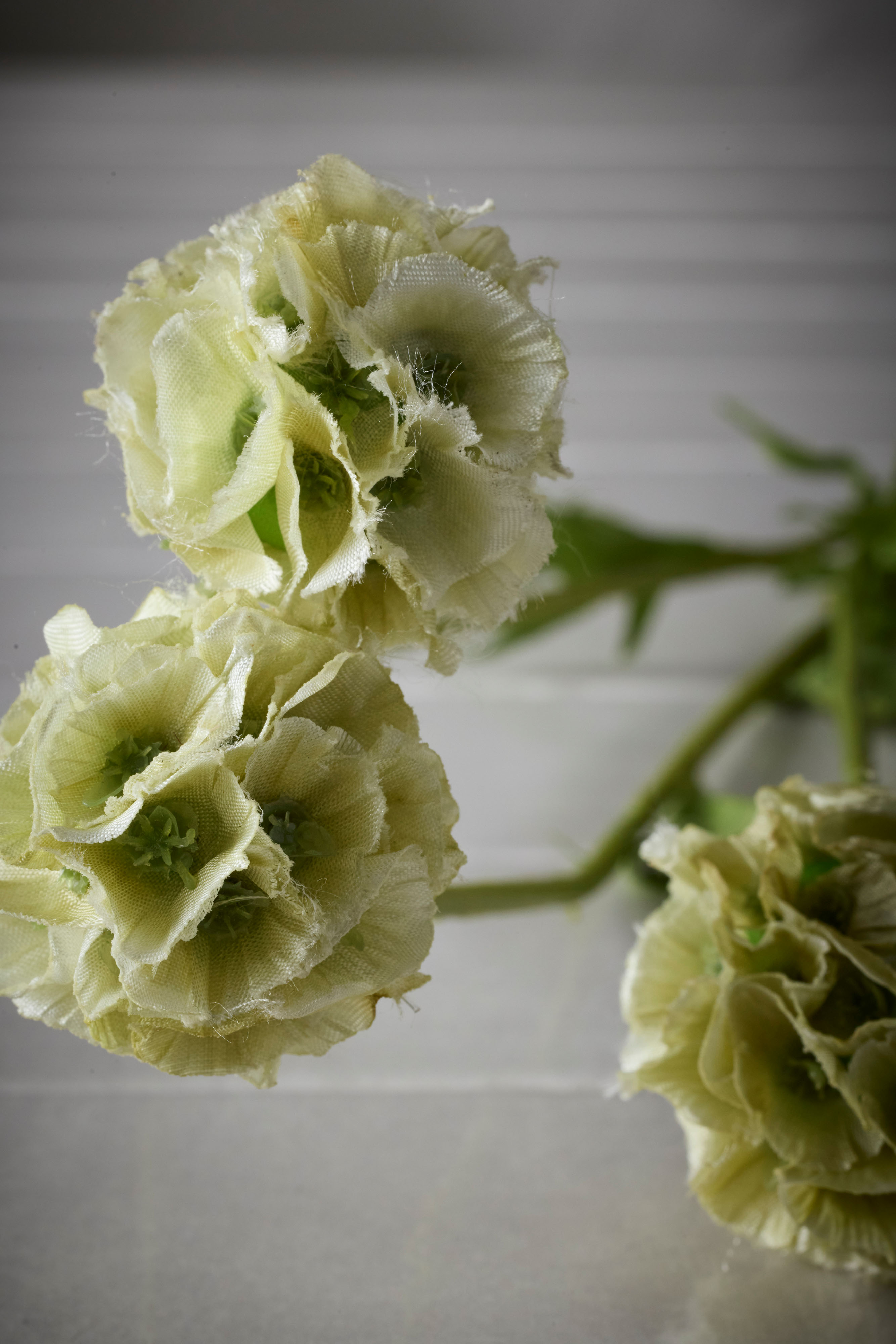 Konstgjord grön Scabiosa 60cm