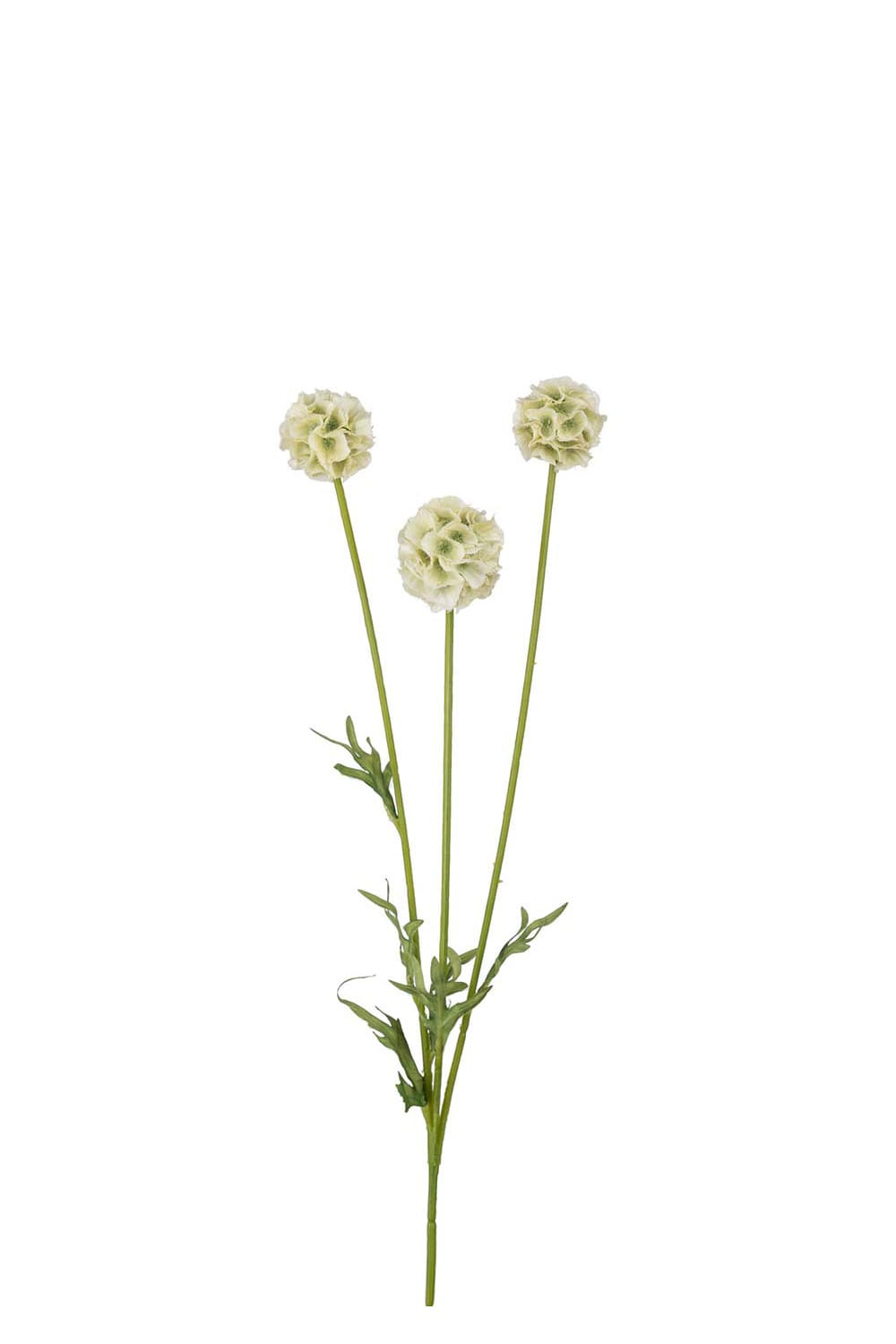Konstgjord grön Scabiosa 60cm