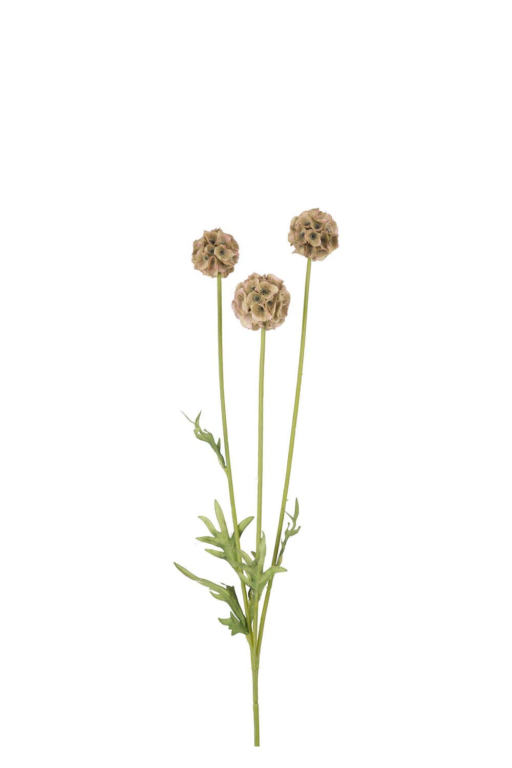 Konstgjord grön Scabiosa 60cm