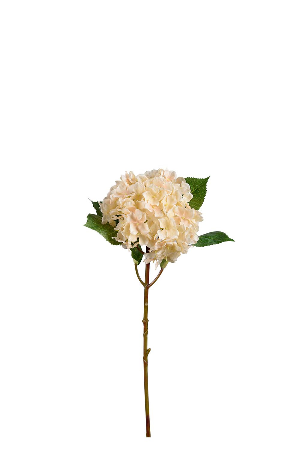 Konstgjord cremefärgad Hortensia 40cm