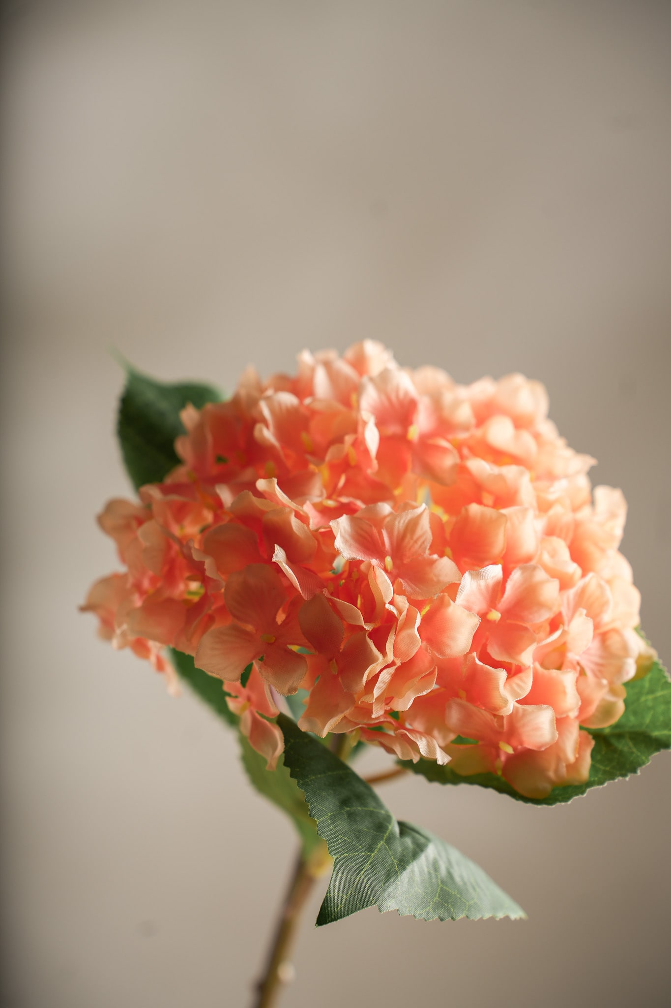 Konstgjord persikofärgad Hortensia 40cm