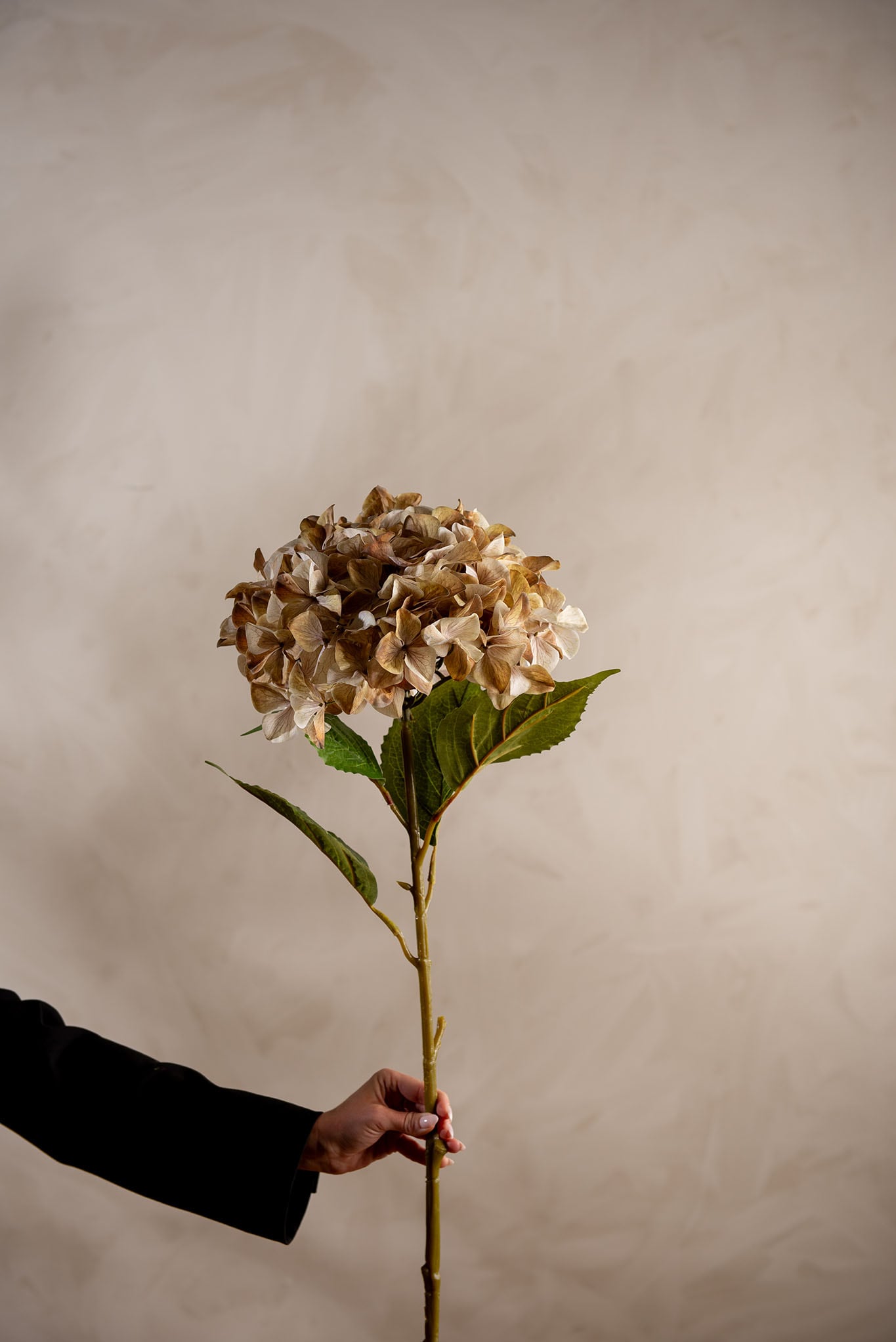 Konstgjord beige Hortensia 110cm
