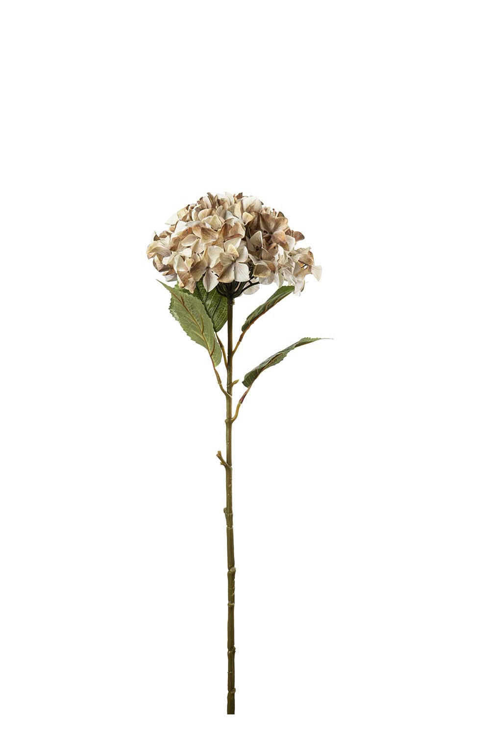 Konstgjord beige Hortensia 110cm