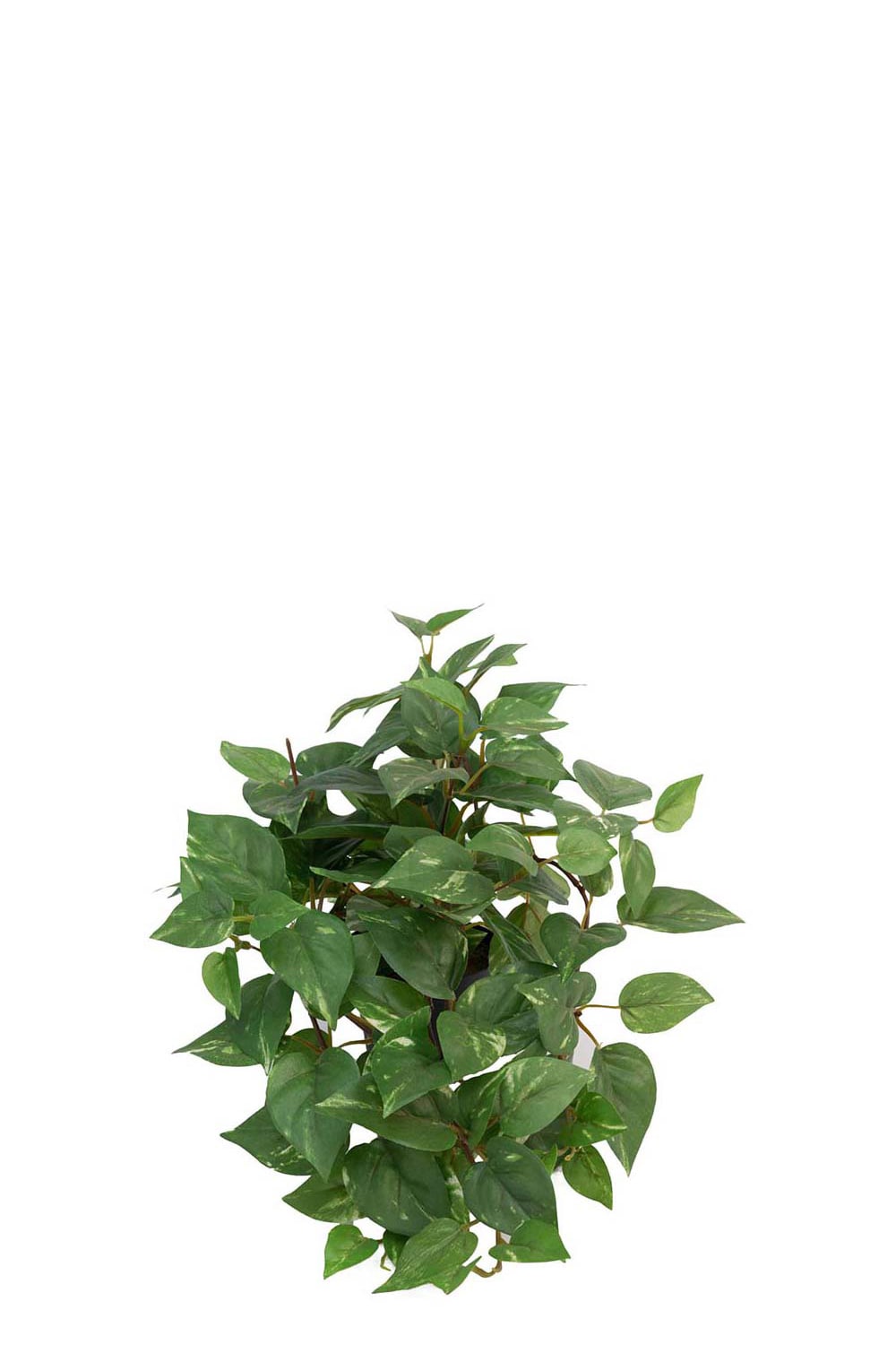 Konstgjord grön Gullranka 25cm