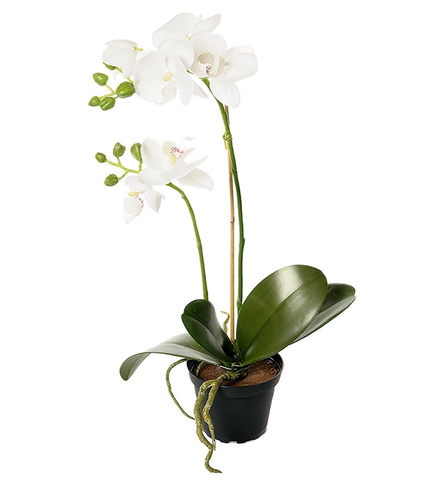 Konstgjord vit Phalaenopsis 45cm