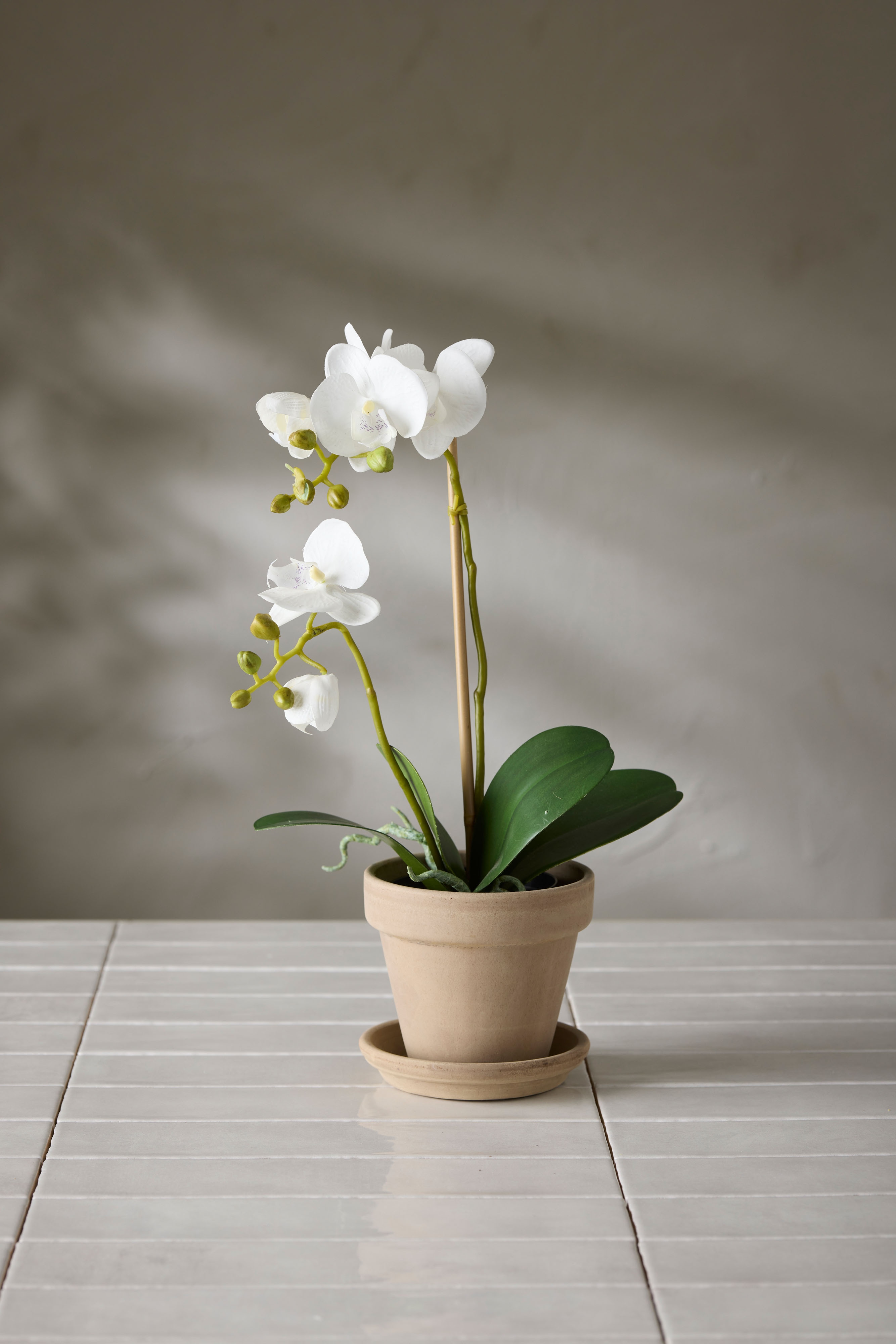 Konstgjord vit Phalaenopsis 45cm
