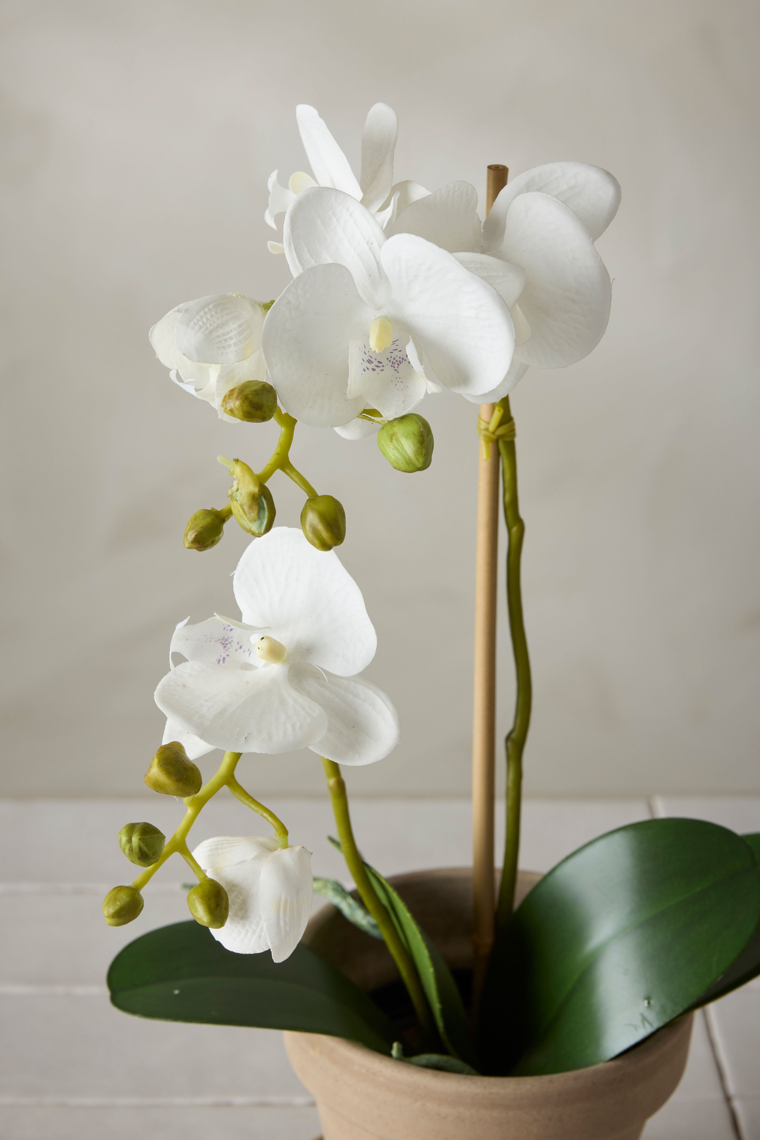 Konstgjord vit Phalaenopsis 45cm