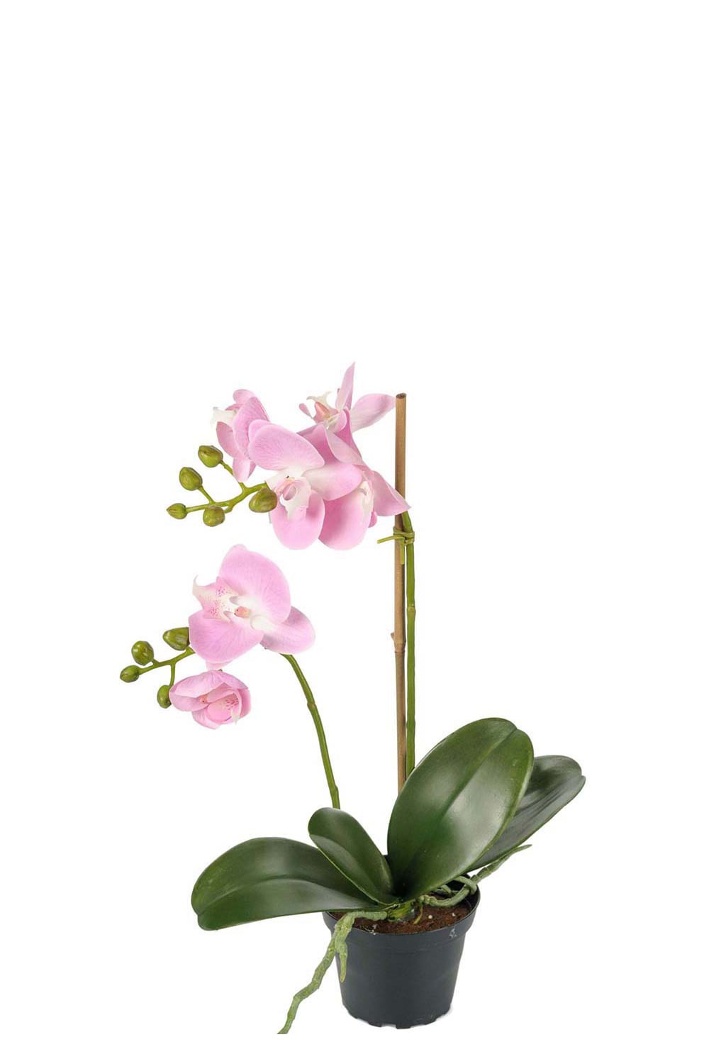 Konstgjord rosa Phalaenopsis 45cm