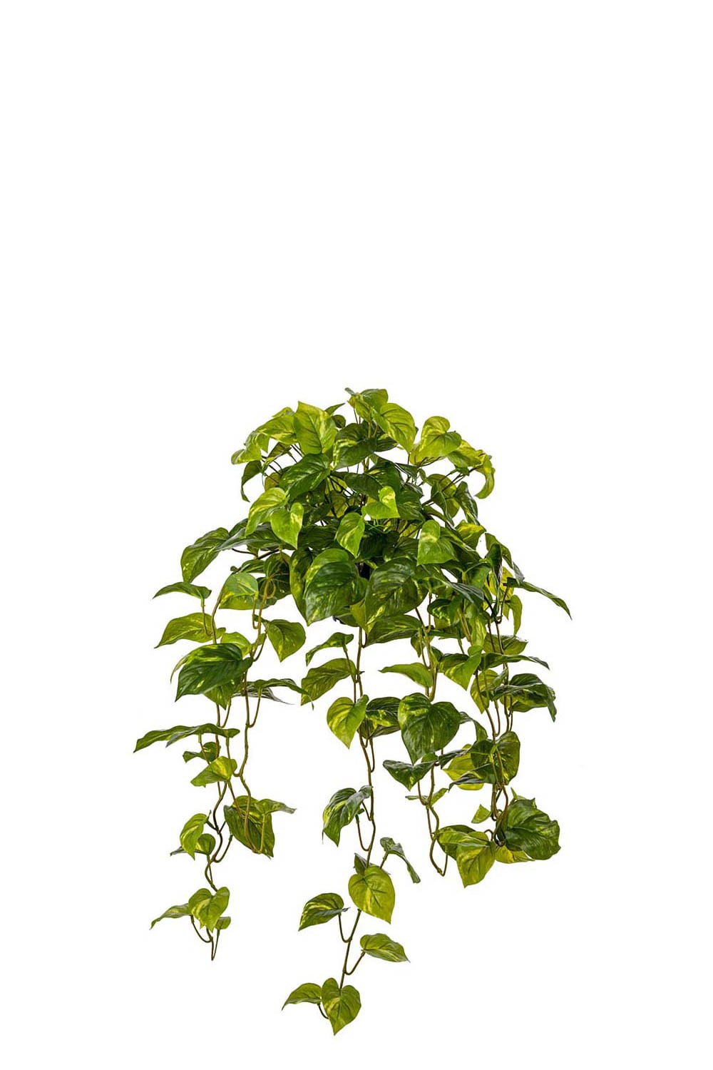 Konstgjord grön Gullranka 30cm
