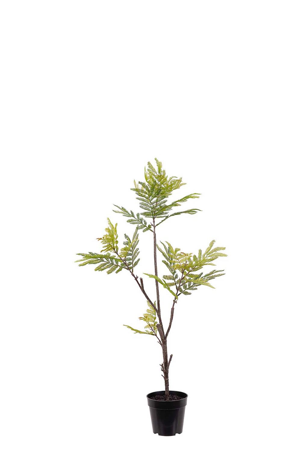 Konstgjord grön Pithecellobium 95cm