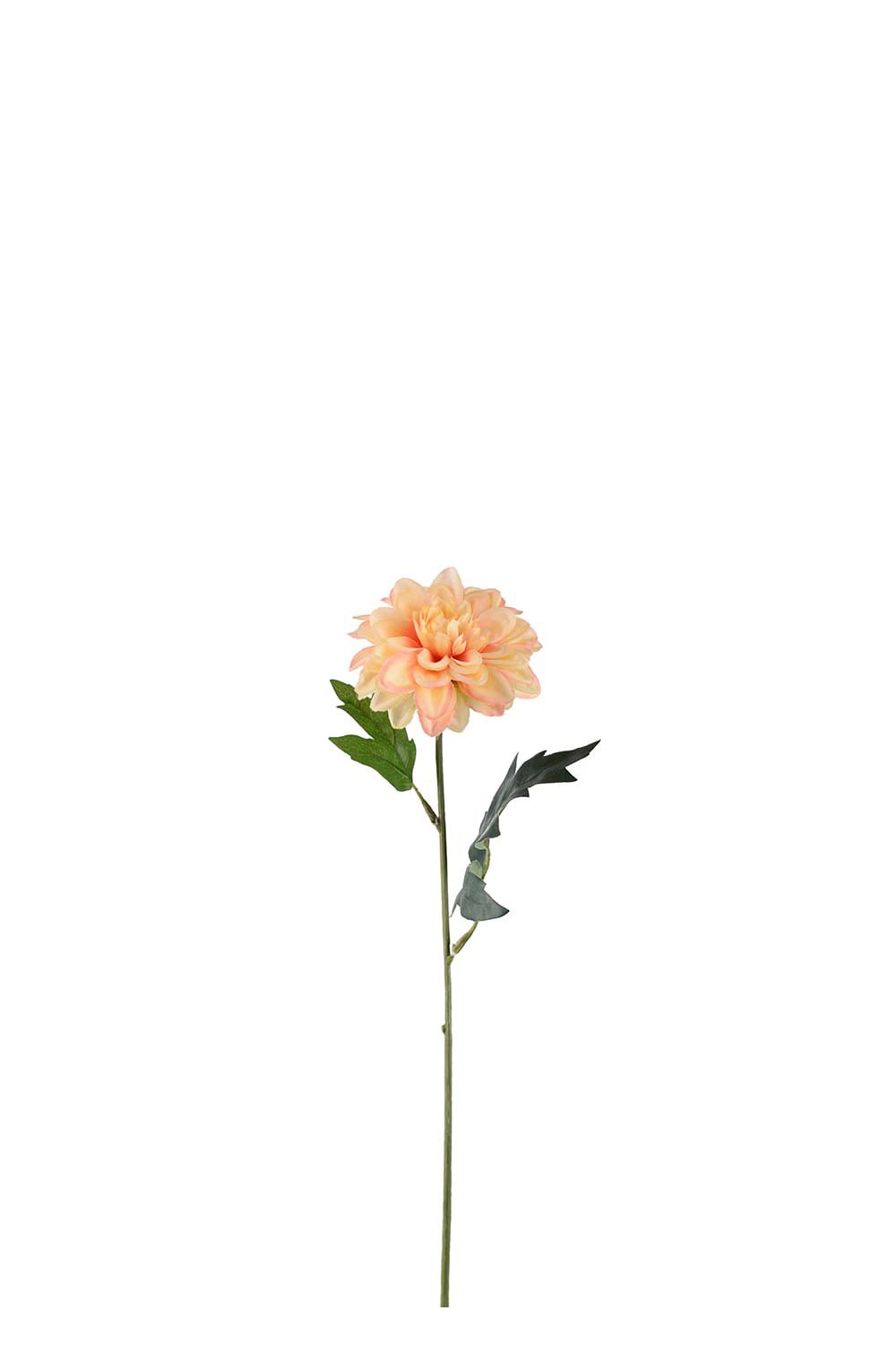 Konstgjord aprikosfärgad Zinnia 45cm