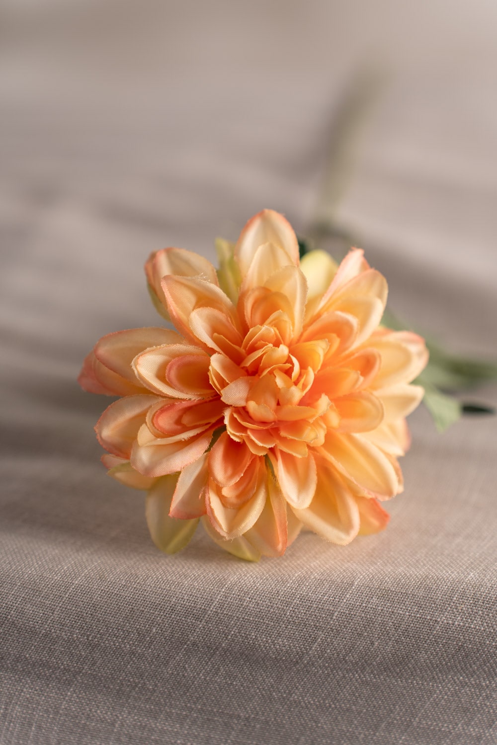 Konstgjord aprikosfärgad Zinnia 45cm