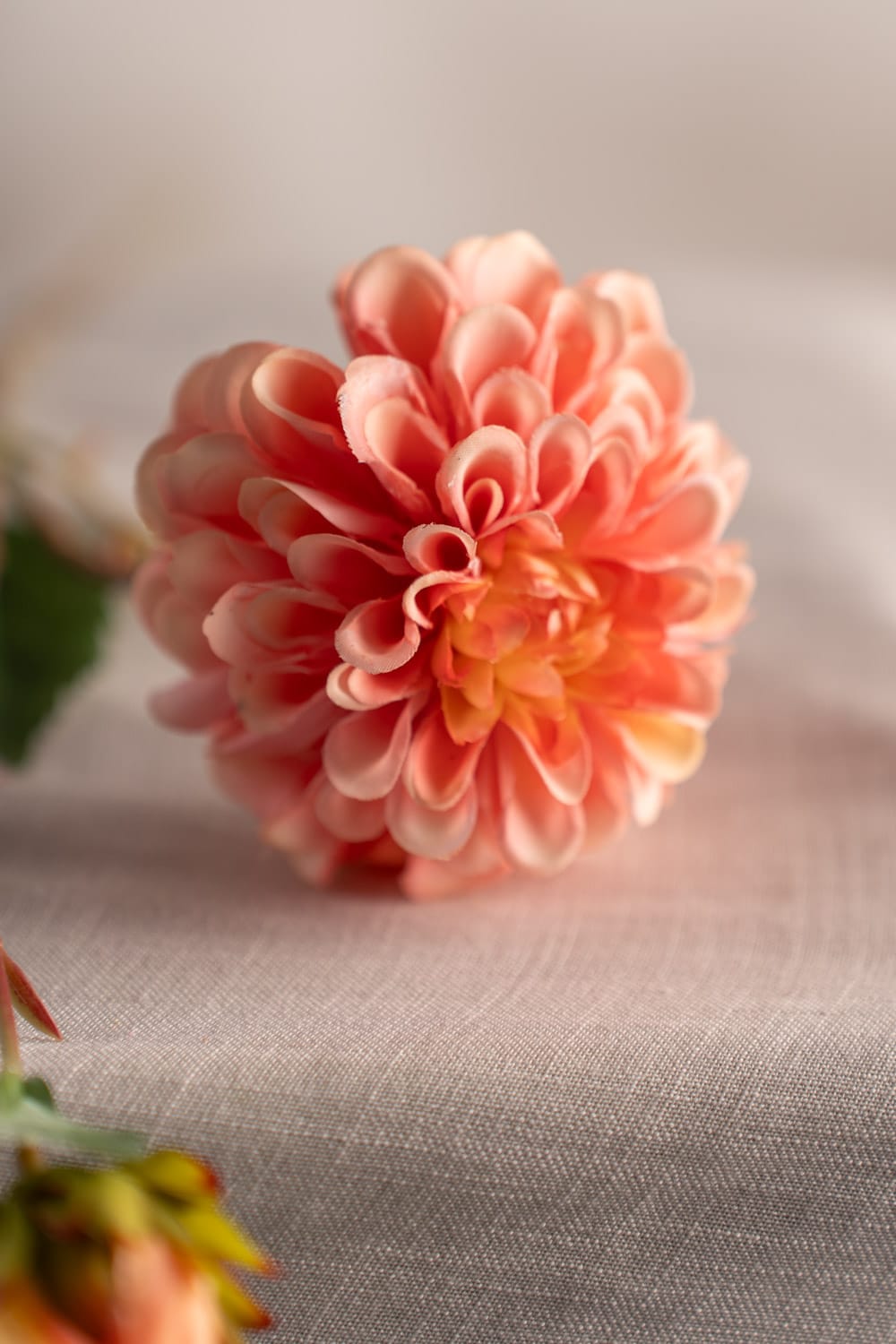 Konstgjord aprikosfärgad Dahlia 66cm