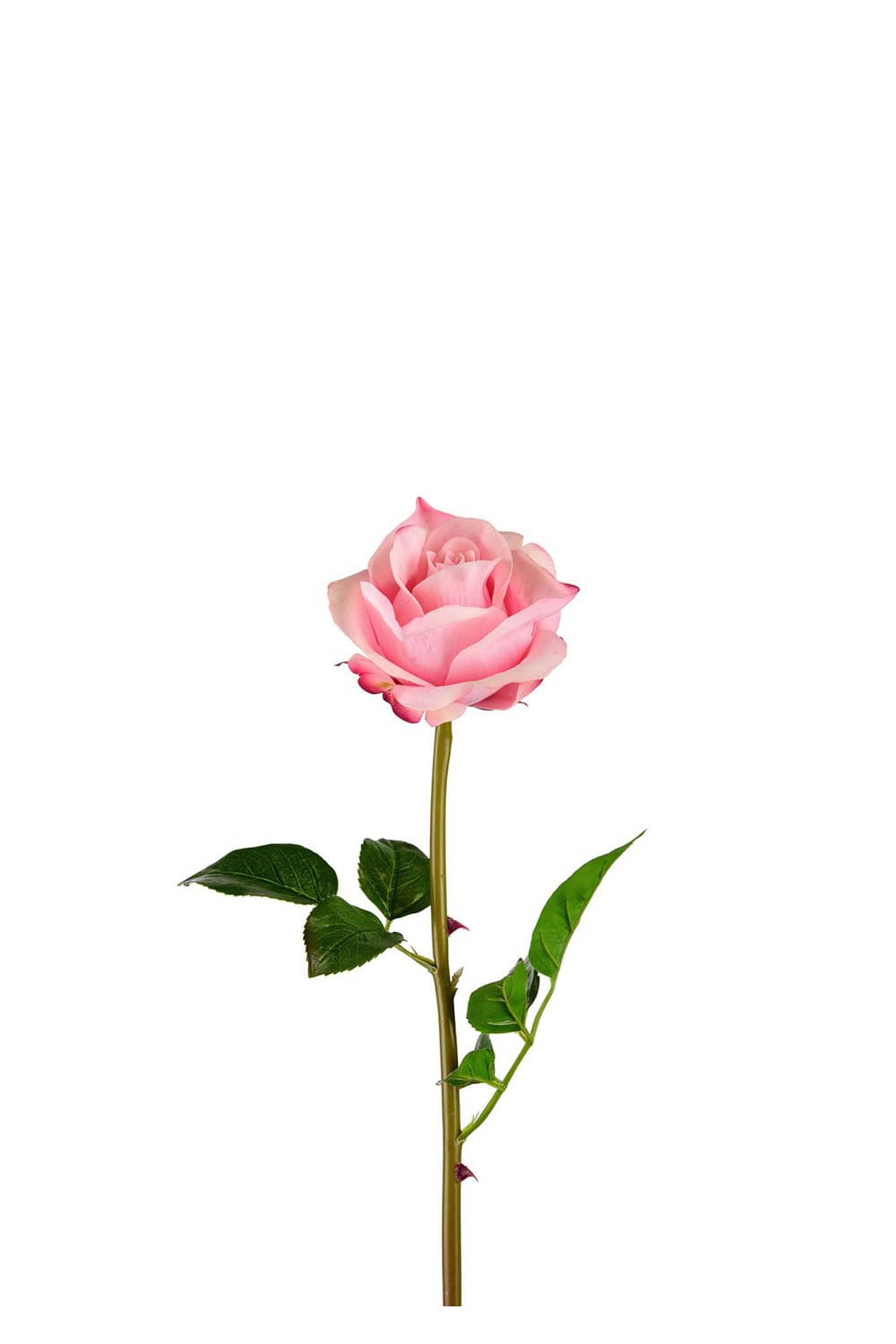 Konstgjord rosa Ros 65cm