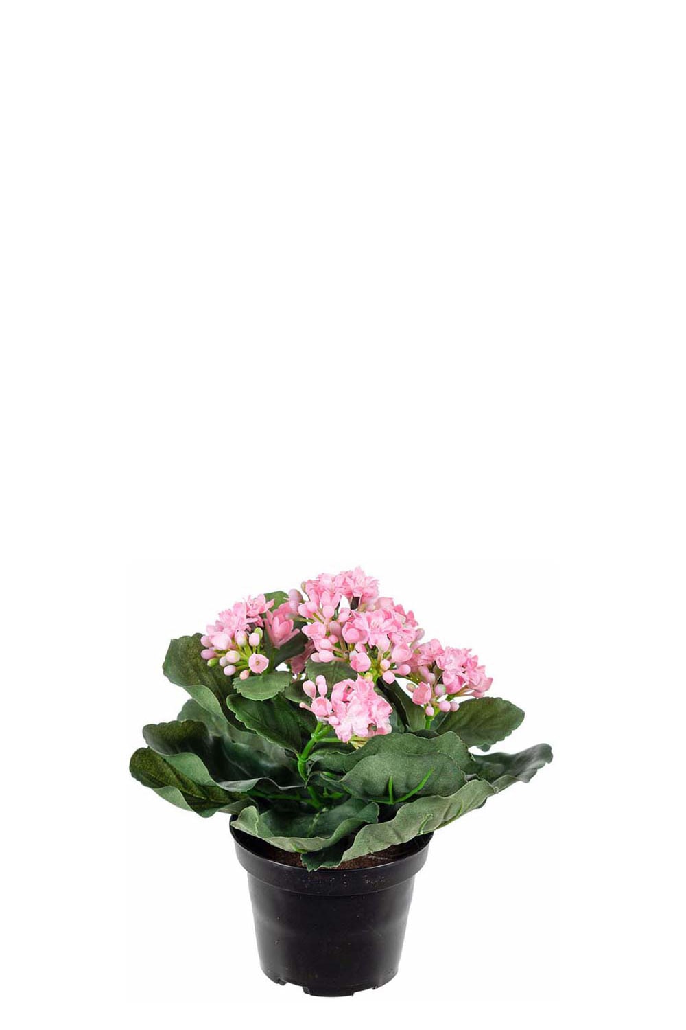 Konstgjord rosa Kalanchoe 20cm