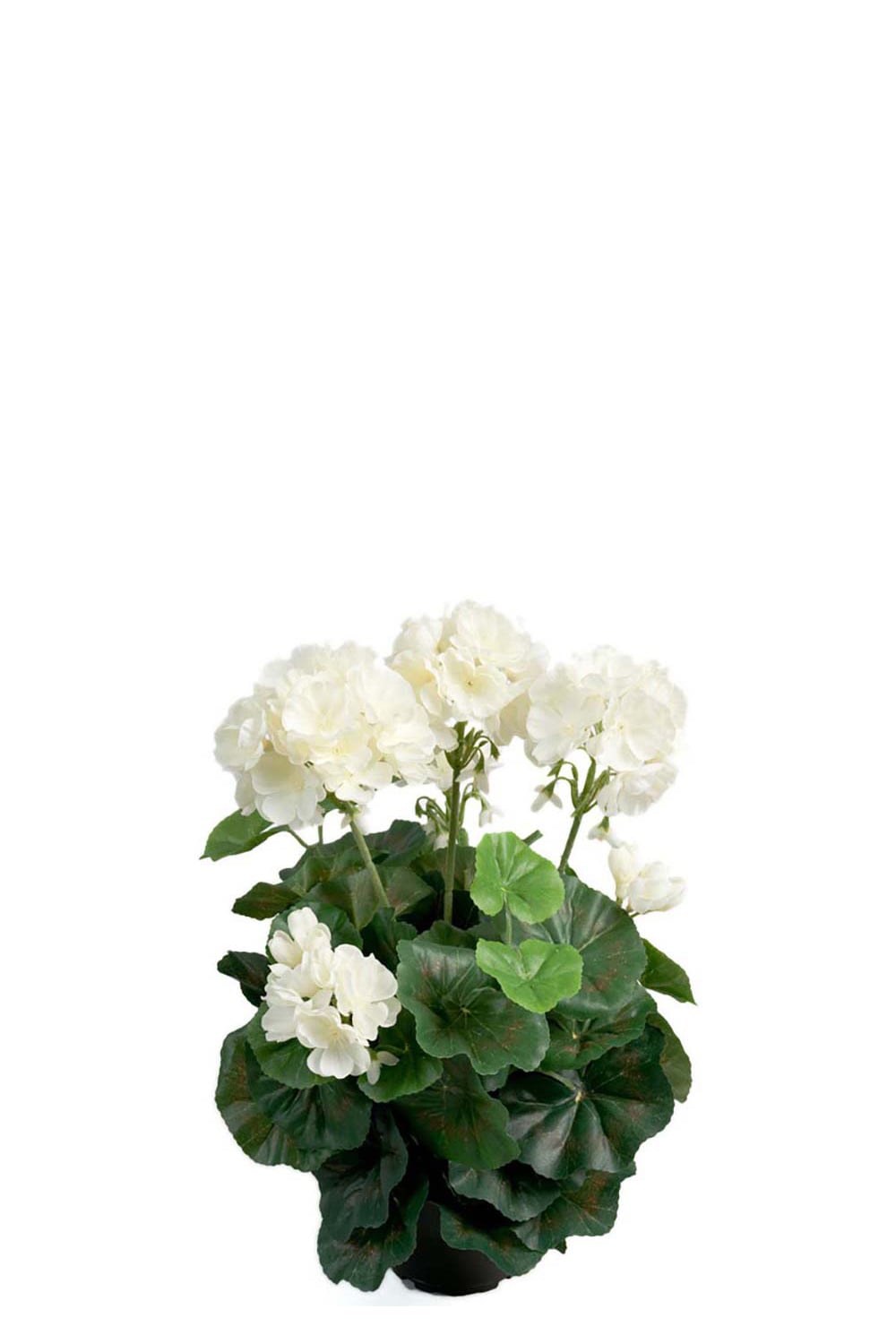 Konstgjord vit Pelargon 35cm
