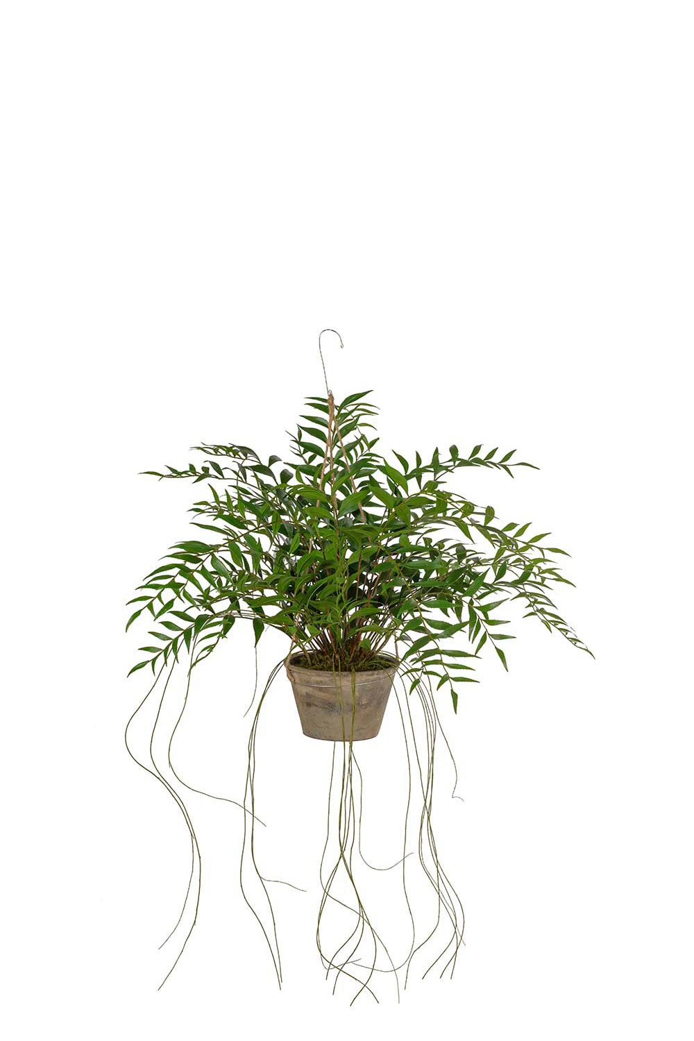 Konstgjord grön Hoya 65cm
